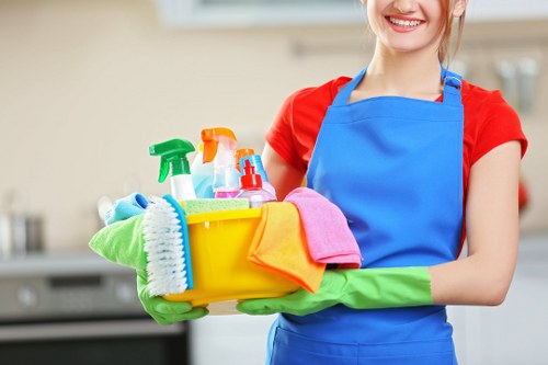 Professional carpet cleaning service for homes and businesses in TW8