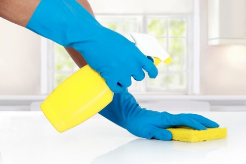 Professional rug cleaning service for TW8 homes