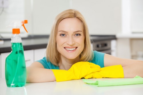 Deep oven cleaning service for a residential property in TW8