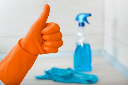 Bright, freshly cleaned windows for a property in TW8