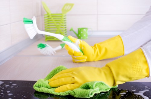 Rug stain treatment and fibre care in TW8