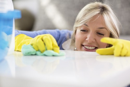 Accessible Carpetcleaning TW8 webpage shown with inclusive design features