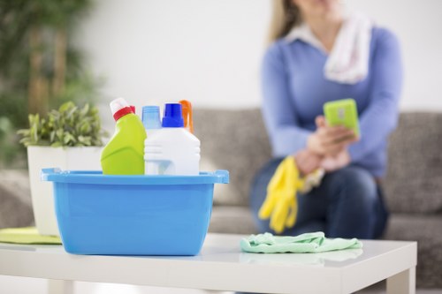 Documented issue details for a carpet cleaning service review