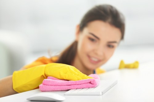 Professional carpet cleaning introduction in TW8