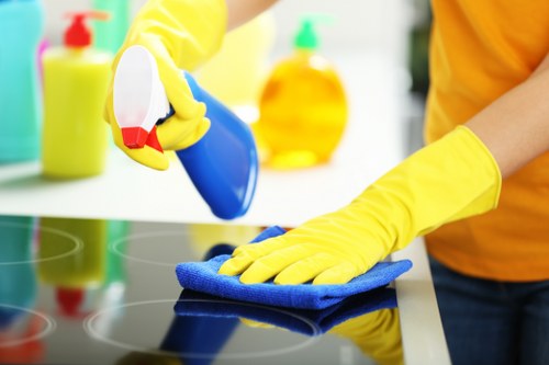 Deep carpet care and fibre cleaning in TW8