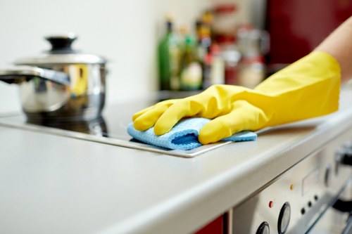 Professional carpet cleaning treatment on a living room floor
