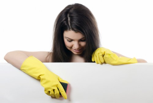 Cleaner removing grease from an oven door and glass panel