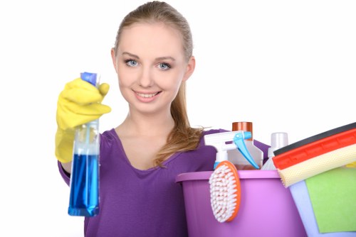 Regular domestic cleaning for busy households in TW8