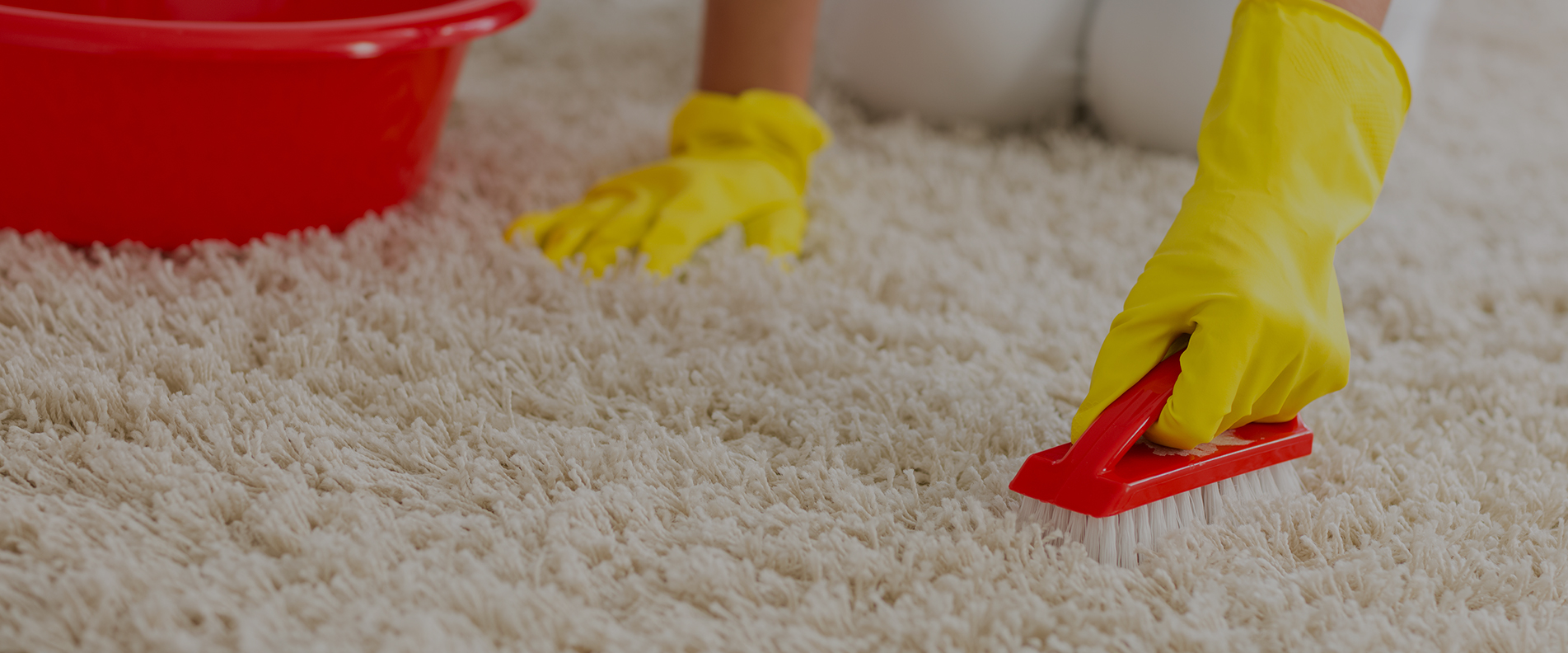 Carpet Cleaning TW8